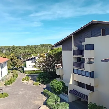 : Renove A Pied Des Plages Avec Climatisation - Fr-1-239-1126 * Seignosse