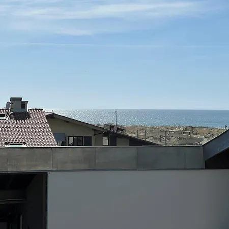 Apartman : Renove A Pied Des Plages Avec Climatisation Seignosse