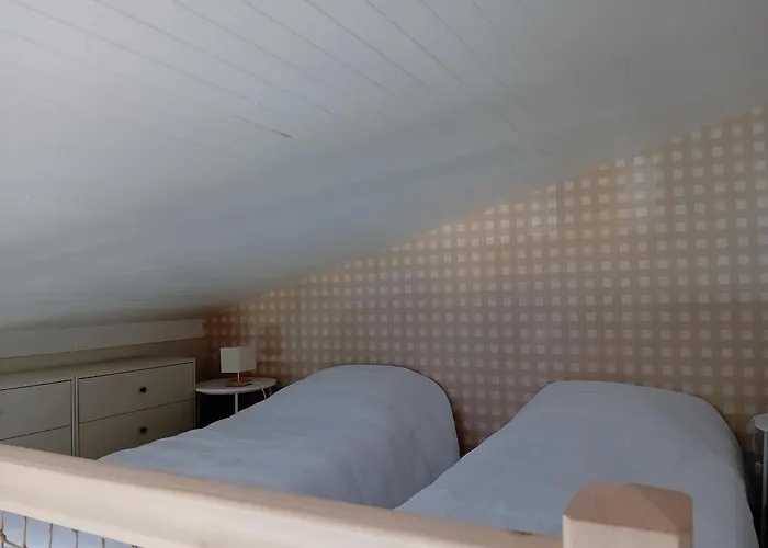 : Renove A Pied Des Plages Avec Climatisation - Fr-1-239-1126 Seignosse